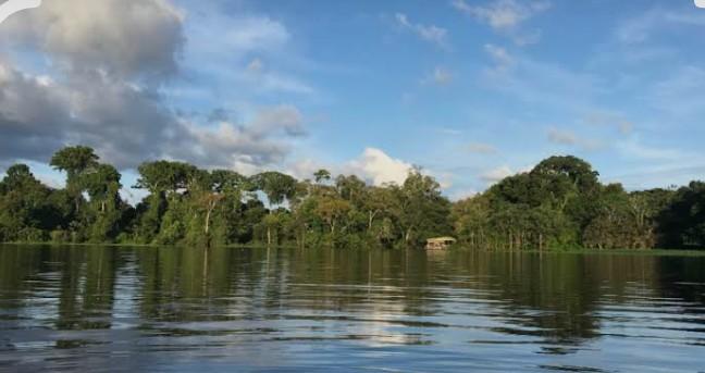 Lago amazónico