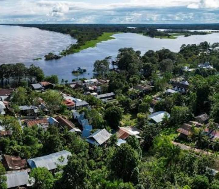 Vista desde el mirador de Puerto Nariño