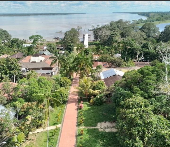 Panorámica amazónica desde el mirador