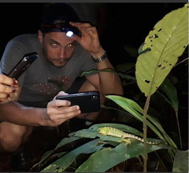 Selva nocturna del Amazonas