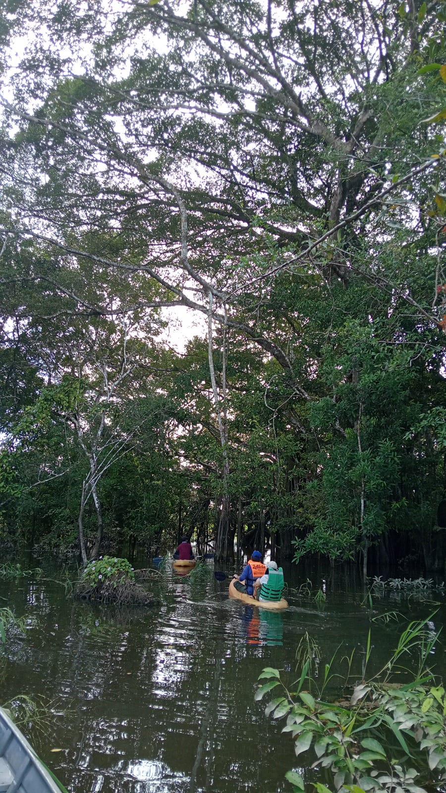 Canoa en el río