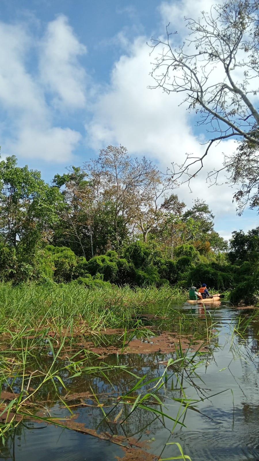 Orillas del Amazonas