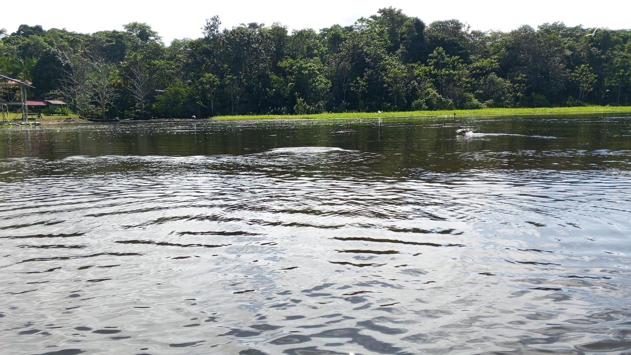 Reflejo en el río amazónico